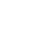 Speed icon
